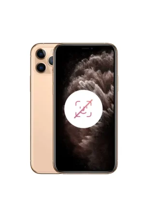 Paiement Sécurisé iPhone 11 Pro Max 256 Or