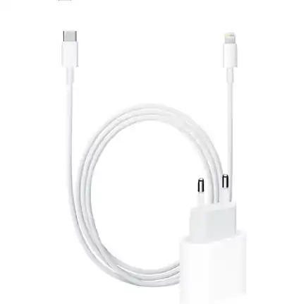 Vente Directe ShieldCase Chargeur rapide 20W + Câble Lightning
