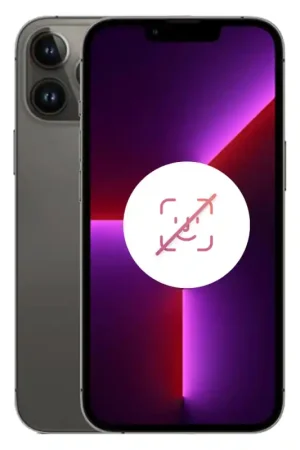 iPhone 13 Pro Max 256 Go Graphite Reconditionné - Noir sans FACE ID Réduction