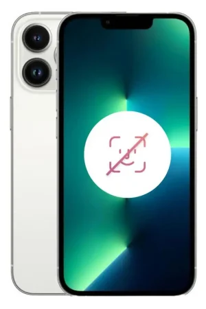 Offre Du Jour iPhone 13 Pro Max 256 Go Argent Reconditionné sans FACE ID