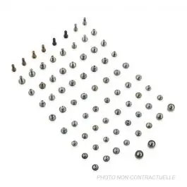 Livraison Express Kit de vis iPhone 11 Pro