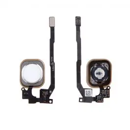 Nappe / Bouton HOME (membrane) iPhone 5S / SE Argent Réduction