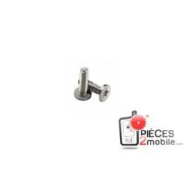 KIT 2 vis du bas Pentalobe iPhone 4/4S Meilleur Prix