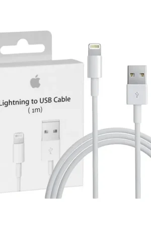 Câble de charge et synchro USB vers Lightning 1M origine Apple Authentique