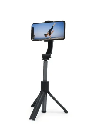 Offre Du Jour SUPPORT STABILISATEUR