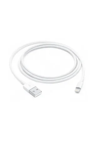 Dernier Modèle Câble Lightning vers USB (1 m)