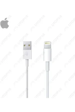 Produit De Marque APPLE Câble Lightning vers USB (2m)