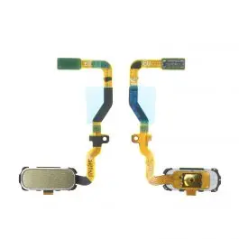 Acheter En Ligne Nappe HOME Samsung Galaxy S7 (G930F) Or Platine Origine